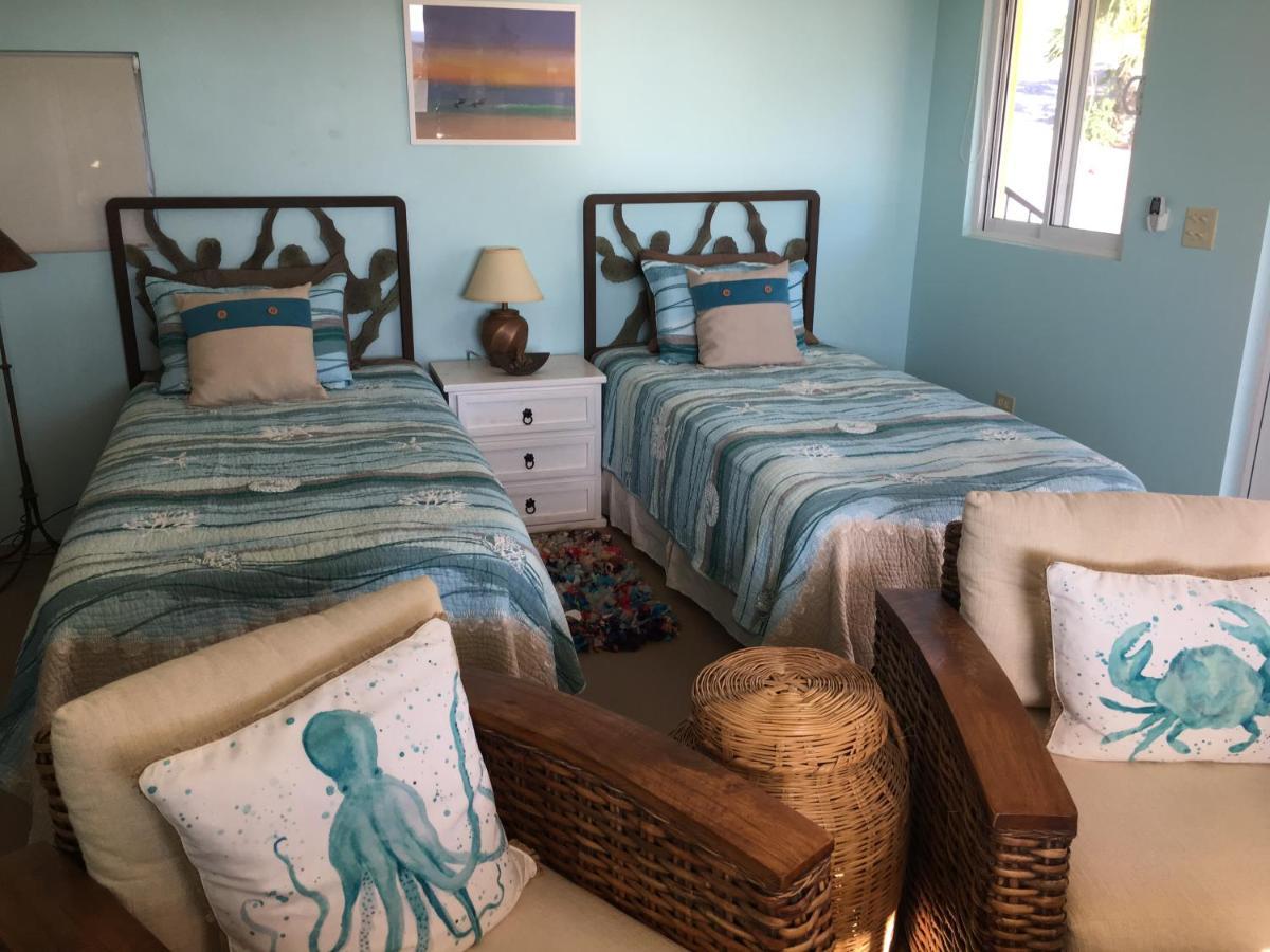 Casa Flores Casitas トドス・サントス エクステリア 写真