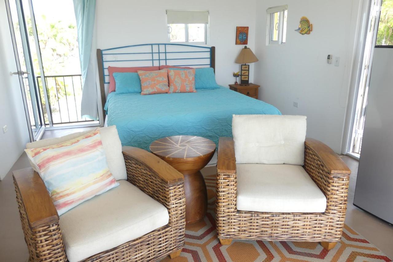 Casa Flores Casitas トドス・サントス エクステリア 写真