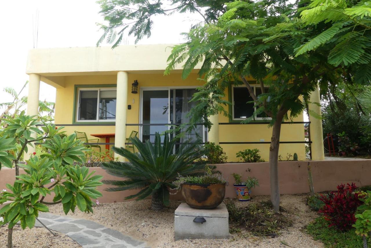 Casa Flores Casitas トドス・サントス エクステリア 写真