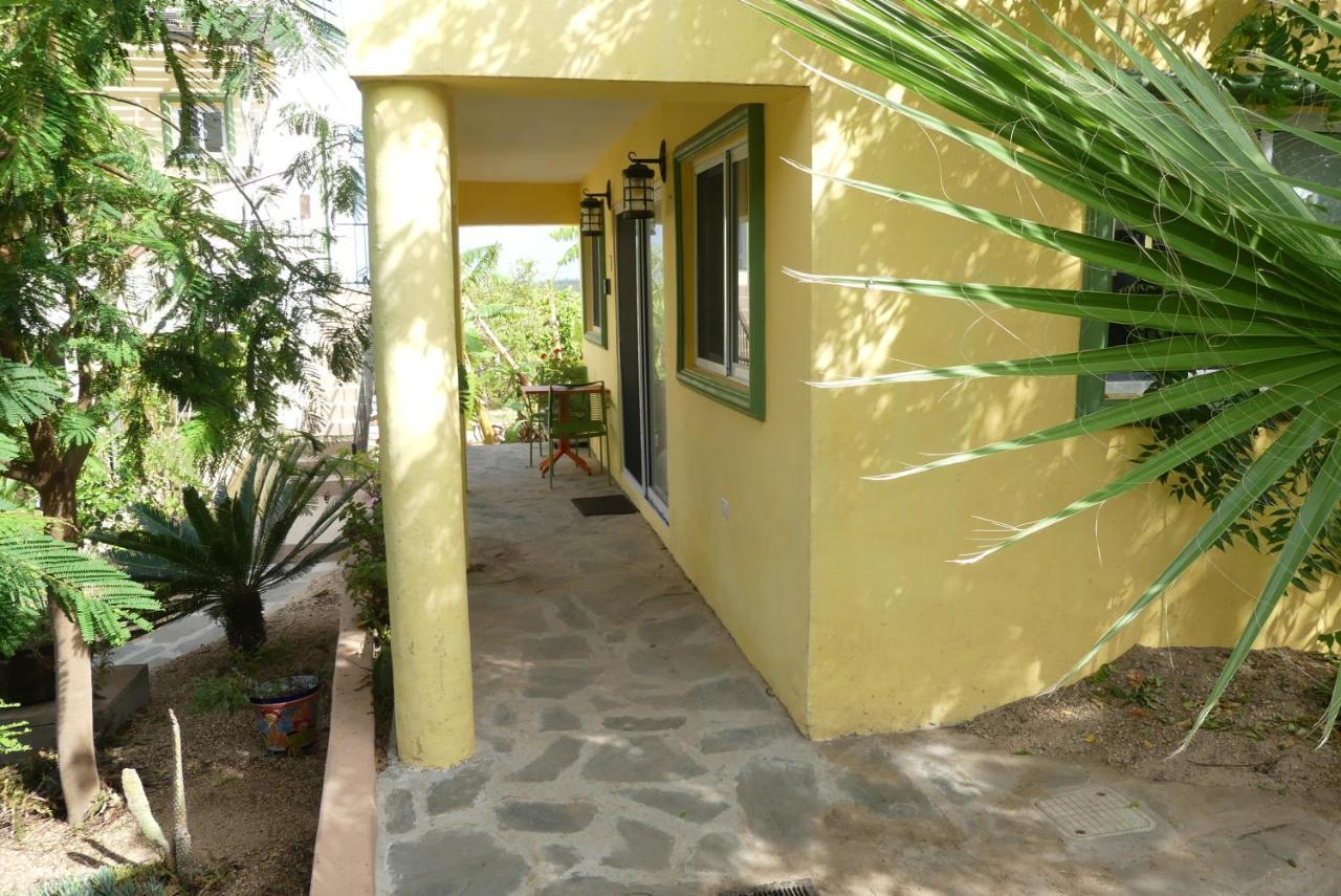Casa Flores Casitas トドス・サントス エクステリア 写真