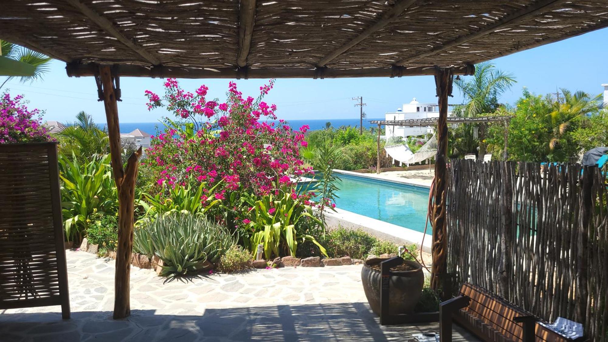 Casa Flores Casitas トドス・サントス エクステリア 写真
