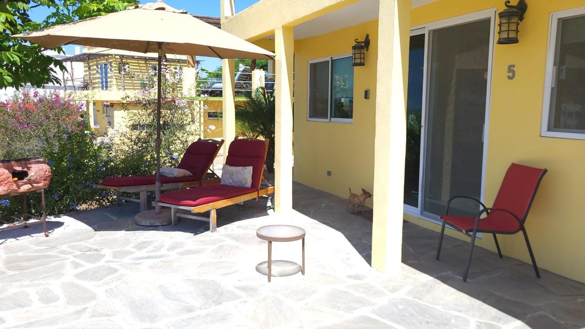 Casa Flores Casitas トドス・サントス エクステリア 写真